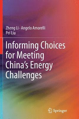 Informing Choices for Meeting Chinas Energy Challenges 1