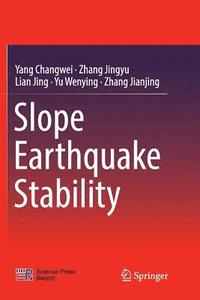 bokomslag Slope Earthquake Stability