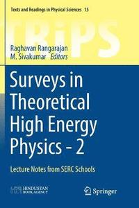 bokomslag Surveys in Theoretical High Energy Physics - 2