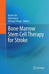 bokomslag Bone marrow stem cell therapy for stroke