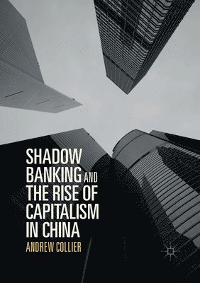 bokomslag Shadow Banking and the Rise of Capitalism in China