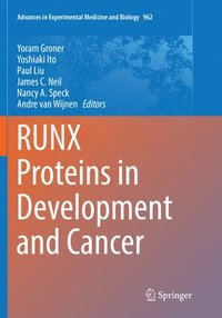 bokomslag RUNX Proteins in Development and Cancer