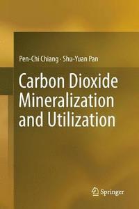bokomslag Carbon Dioxide Mineralization and Utilization