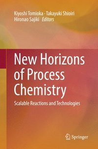 bokomslag New Horizons of Process Chemistry