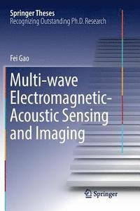 bokomslag Multi-wave Electromagnetic-Acoustic Sensing and Imaging