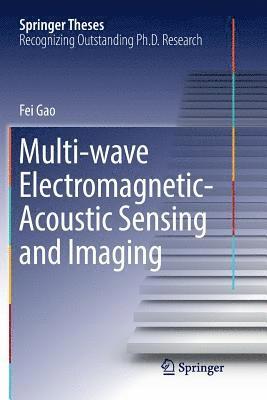 bokomslag Multi-wave Electromagnetic-Acoustic Sensing and Imaging