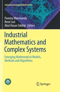 bokomslag Industrial Mathematics and Complex Systems
