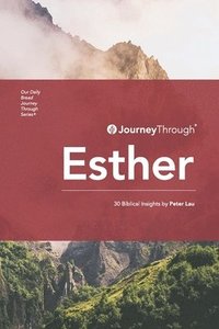 bokomslag Journey Through Esther