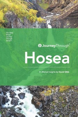 David Gibb - Journey Through Hosea, Häftad
