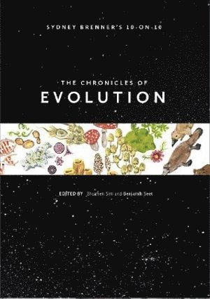 bokomslag Sydney Brenner's 10-on-10: The Chronicles Of Evolution