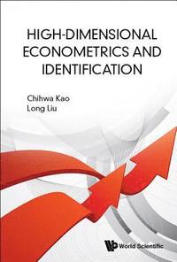 bokomslag High-dimensional Econometrics And Identification