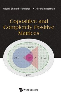 bokomslag Copositive And Completely Positive Matrices