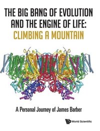 bokomslag Big Bang Of Evolution And The Engine Of Life, The: Climbing A Mountain - A Personal Journey Of James Barber