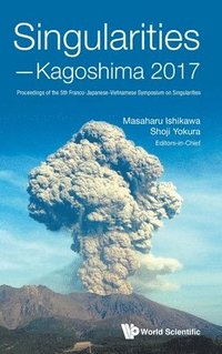 bokomslag Singularities - Kagoshima 2017: Proceedings Of The 5th Franco-japanese-vietnamese Symposium On Singularities