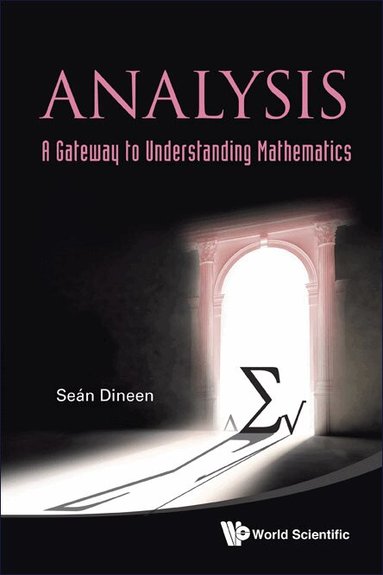 Seán Dineen - ANALYSIS: A GATEWAY TO UNDERSTANDING MATHEMATICS, Häftad