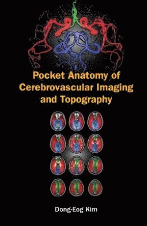 Pocket Anatomy Of Cerebrovascular Imaging And Topography 1