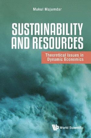 bokomslag Sustainability And Resources: Theoretical Issues In Dynamic Economics