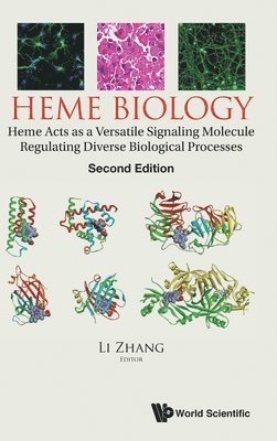 bokomslag Heme Biology: Heme Acts As A Versatile Signaling Molecule Regulating Diverse Biological Processes