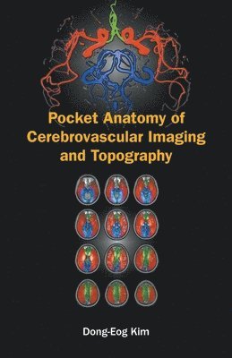 Pocket Anatomy Of Cerebrovascular Imaging And Topography 1