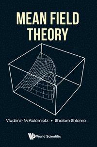 bokomslag Mean Field Theory