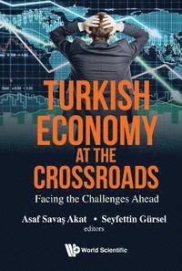bokomslag Turkish Economy At The Crossroads: Facing The Challenges Ahead