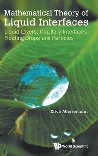 bokomslag Mathematical Theory Of Liquid Interfaces: Liquid Layers, Capillary Interfaces, Floating Drops And Particles
