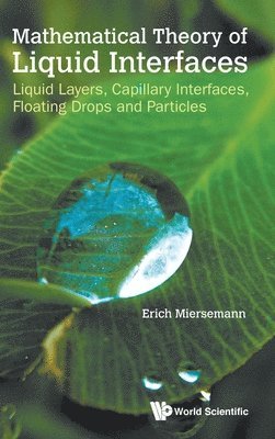 Mathematical Theory Of Liquid Interfaces: Liquid Layers, Capillary Interfaces, Floating Drops And Particles 1