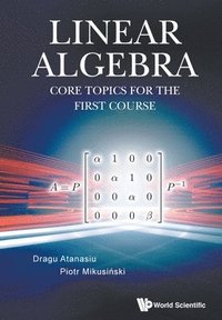 bokomslag Linear Algebra: Core Topics For The First Course