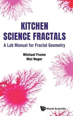 bokomslag Kitchen Science Fractals: A Lab Manual For Fractal Geometry