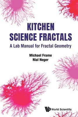 bokomslag Kitchen Science Fractals: A Lab Manual For Fractal Geometry