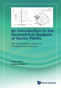 bokomslag Introduction To The Geometrical Analysis Of Vector Fields, An: With Applications To Maximum Principles And Lie Groups
