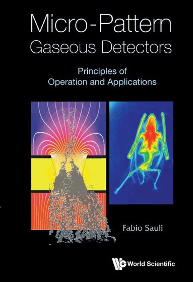 Fabio Sauli - MICRO-PATTERN GASEOUS DETECTORS: PRINCIPLES OF OPERATION AND APPLICATIONS, Inbunden