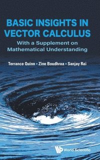 bokomslag Basic Insights In Vector Calculus: With A Supplement On Mathematical Understanding