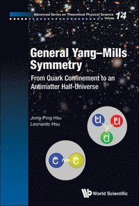 bokomslag General Yang-mills Symmetry: From Quark Confinement To An Antimatter Half-universe