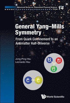 General Yang-mills Symmetry: From Quark Confinement To An Antimatter Half-universe