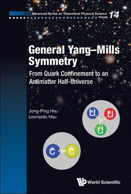 General Yang-mills Symmetry: From Quark Confinement To An Antimatter Half-universe 1