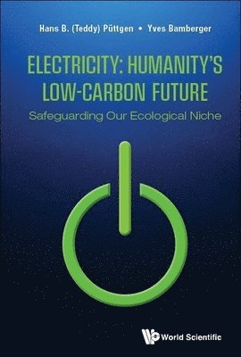 bokomslag Electricity: Humanity's Low-carbon Future - Safeguarding Our Ecological Niche