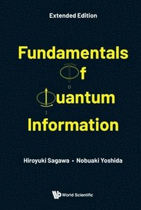 bokomslag Fundamentals Of Quantum Information (Extended Edition)