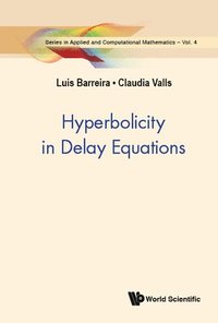 bokomslag Hyperbolicity In Delay Equations