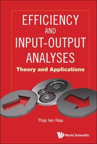 bokomslag Efficiency And Input-output Analyses: Theory And Applications