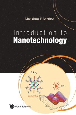 bokomslag Introduction To Nanotechnology