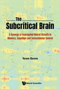 bokomslag Subcritical Brain, The: A Synergy Of Segregated Neural Circuits In Memory, Cognition And Sensorimotor Control