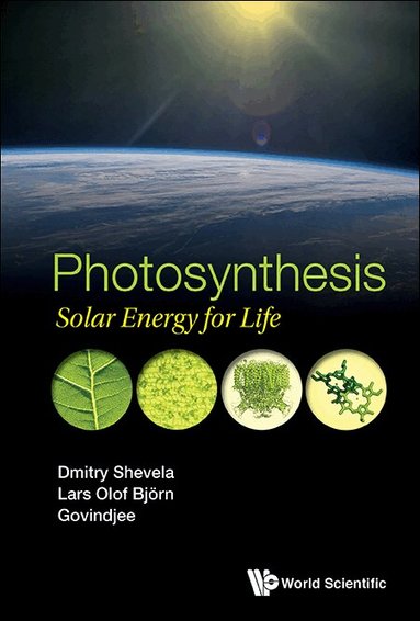 Dmitry Shevela, Lars Olof Björn, Govindjee - PHOTOSYNTHESIS: SOLAR ENERGY FOR LIFE, Häftad