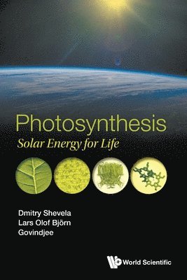 bokomslag Photosynthesis: Solar Energy For Life