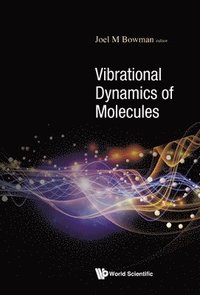 bokomslag Vibrational Dynamics Of Molecules