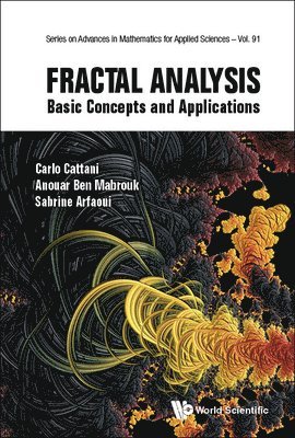 bokomslag Fractal Analysis: Basic Concepts And Applications