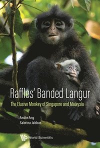 bokomslag Raffles' Banded Langur: The Elusive Monkey Of Singapore And Malaysia