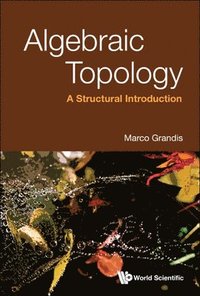 bokomslag Algebraic Topology: A Structural Introduction