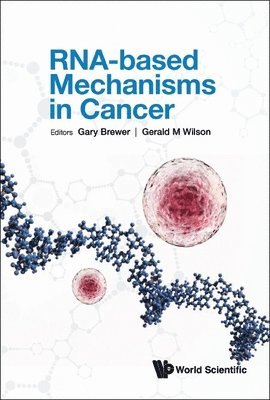 BREWER GARY, Brewer Gary, Gary Brewer, Gerald M Wilson, Gerald M. Wilson - Rna-based Mechanisms In Cancer, Inbunden
