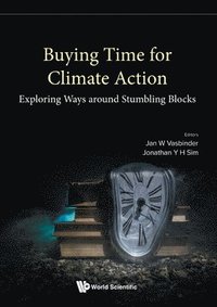 bokomslag Buying Time For Climate Action: Exploring Ways Around Stumbling Blocks